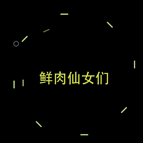 明亮vlog风欢快节奏小视频