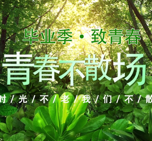 毕业季纪念相册